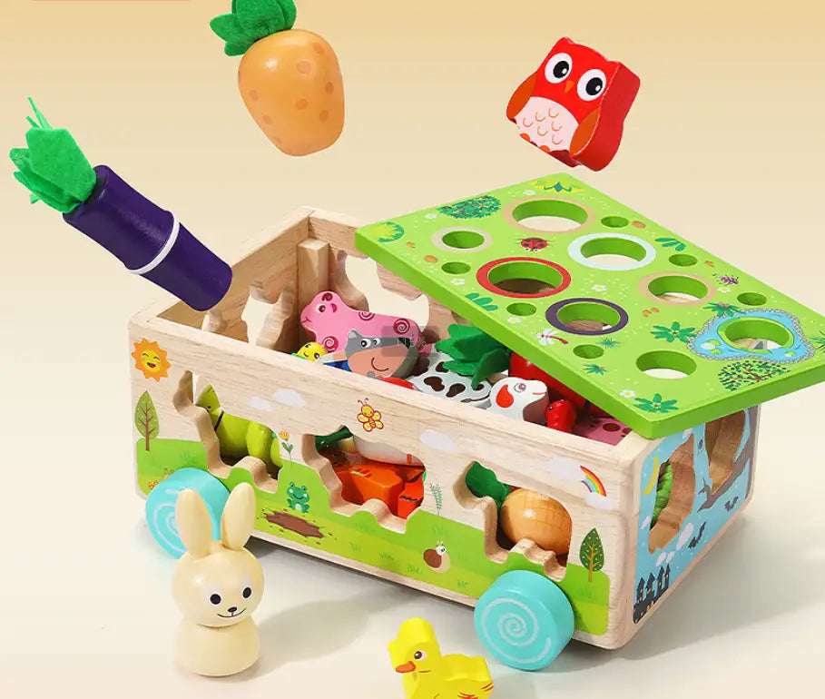 Karotten Steckspiel Holz Montessori für Kinder von 1 bis 3 Jahren – Stapeln und Sortieren für kognitive Entwicklung