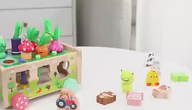 Karotten Steckspiel Holz Montessori für Kinder von 1 bis 3 Jahren – Stapeln und Sortieren für kognitive Entwicklung