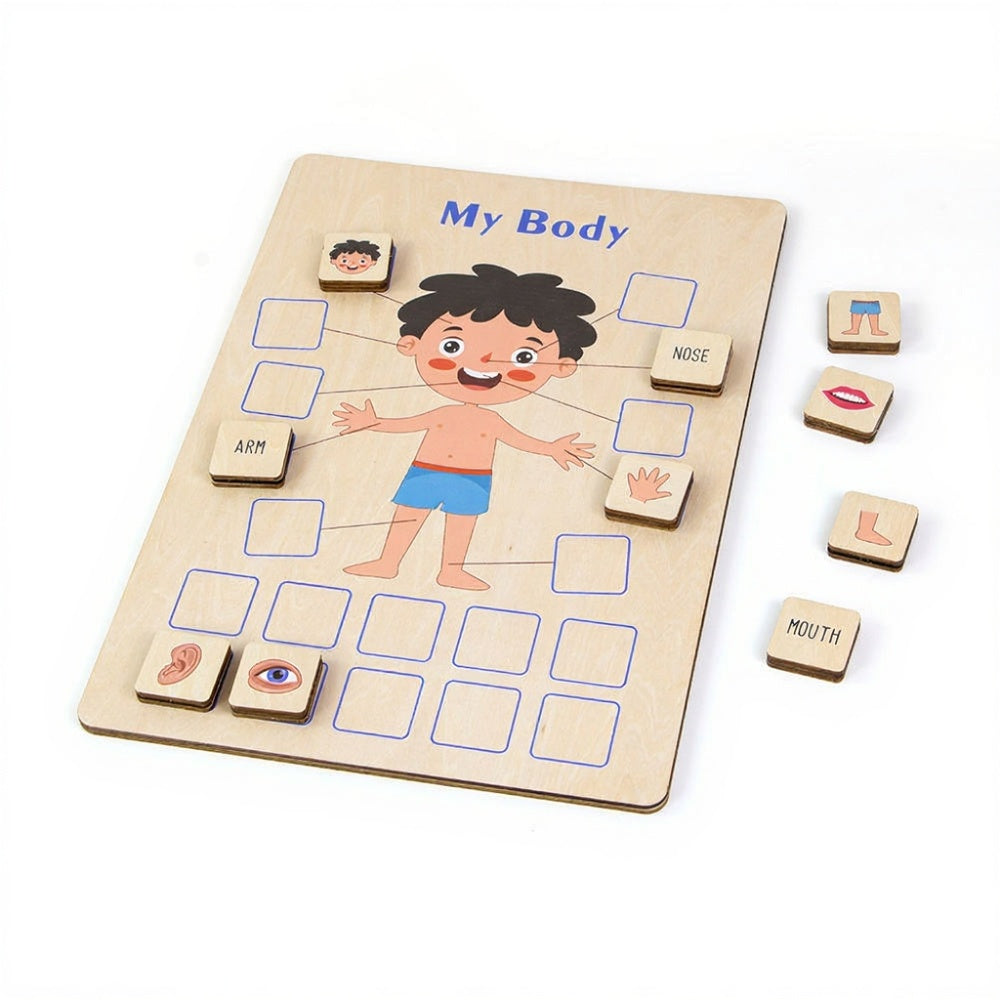 MontessoriLernwelt Körper Puzzle Junge – Pädagogisches Holzspielzeug für Kinder