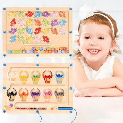 2 in 1 Montessori Magnetic Game Labyrinth