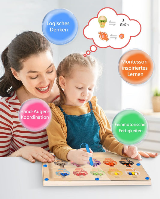 2 in 1 Montessori Magnetic Game Labyrinth