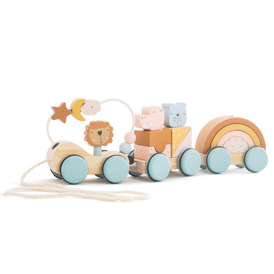 Montessori Holz Zug mit Tierfiguren und Bausteinen – Lernspielzeug für Kinder